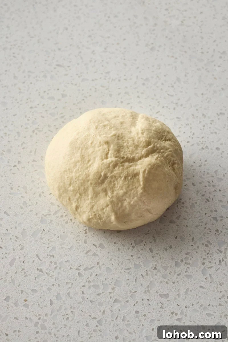 Fluffy Sourdough Discard Hamburger Buns You Can Make at Home 5 Dough in a ball after kneading.