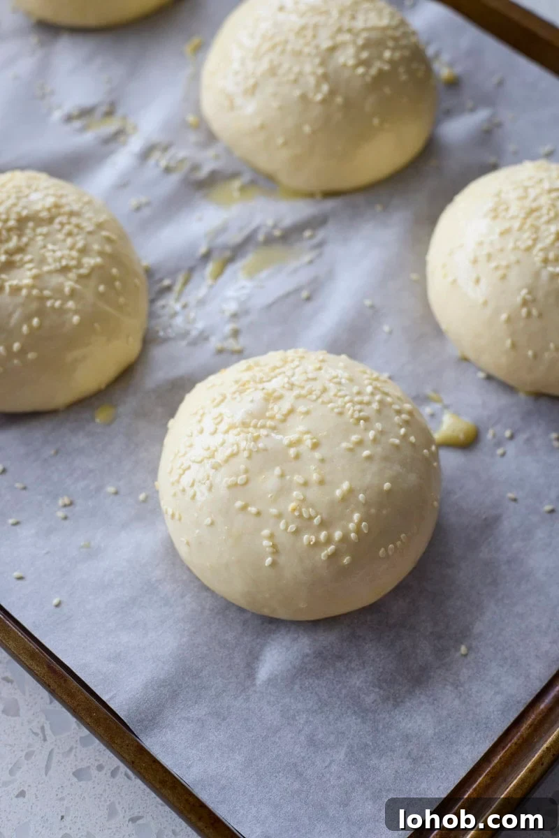 Fluffy Sourdough Discard Hamburger Buns You Can Make at Home 10 Buns sprinkled with sesame seeds.
