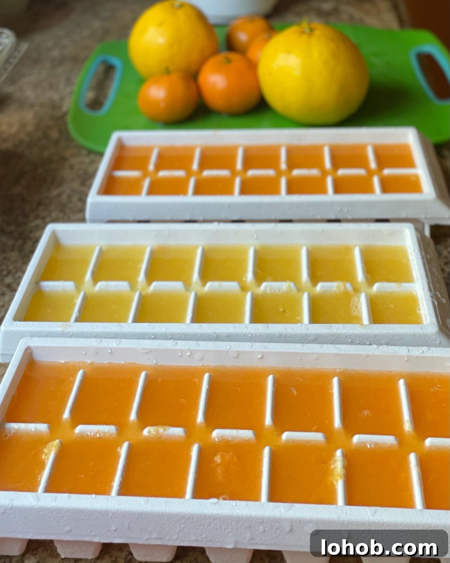 Citrus juice in ice trays