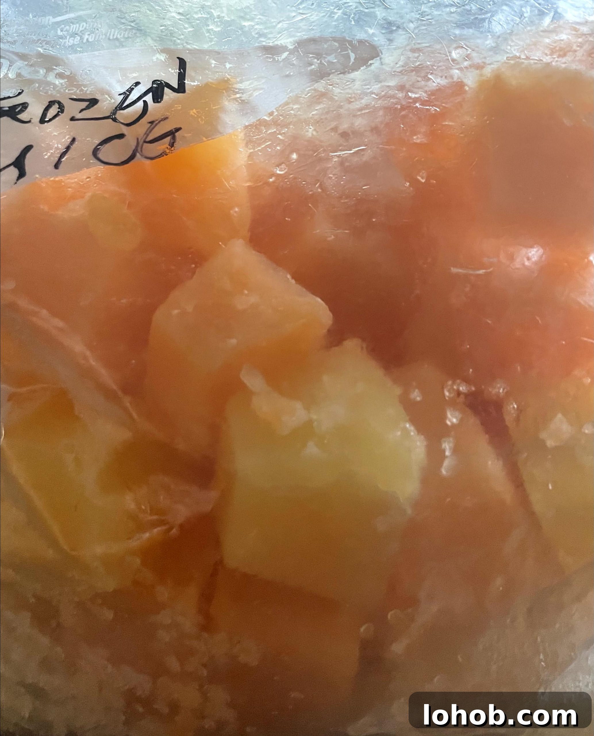 Frozen juice cubes in freezer bag.
