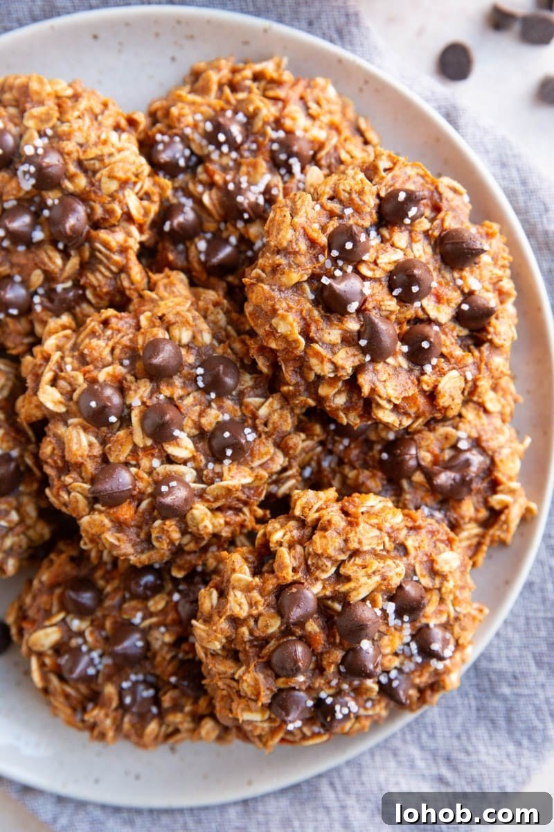 Plate of sweet potato cookies with chocolate chips and sea salt sprinkled on top. Ready to eat.