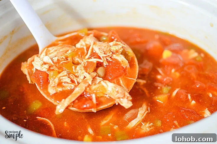 Serving Spoon full of Chicken Taco Soup over slow cooker