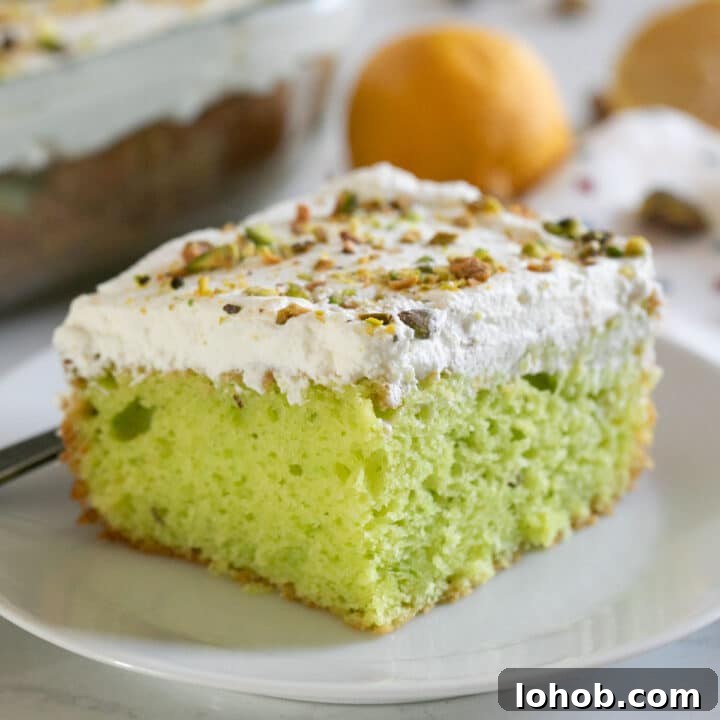 A piece of lemon cake with whipped cram on a white plate with the rest of the cake and lemons in the background.