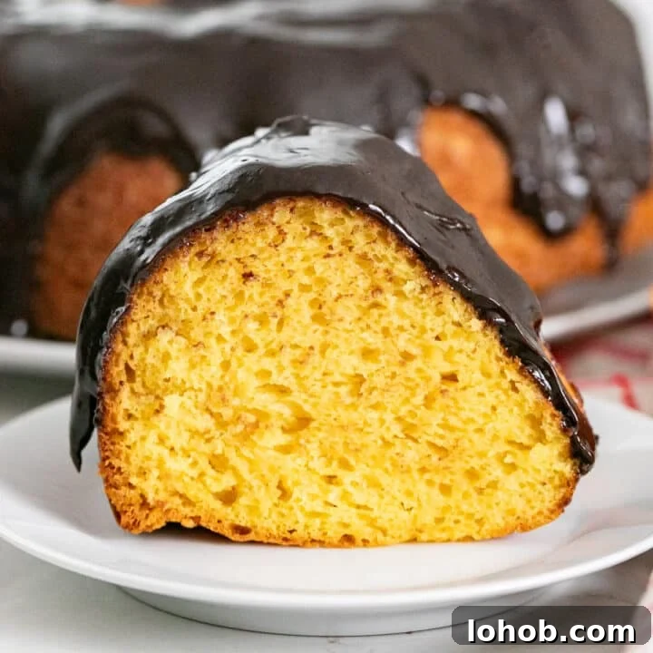 The side of a slice of orange cake with chocolate ganache revealing the moist crumb.