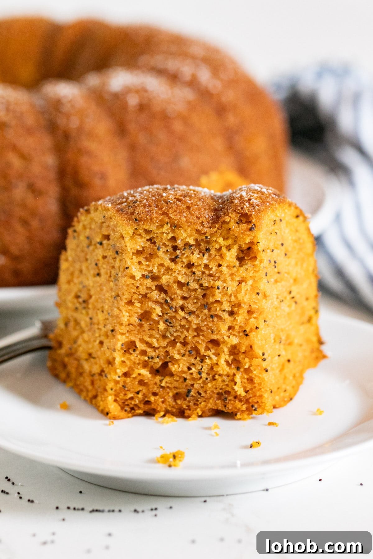 A slice of poppyseed cake with a bite taken from it revealing the moist crumb center.