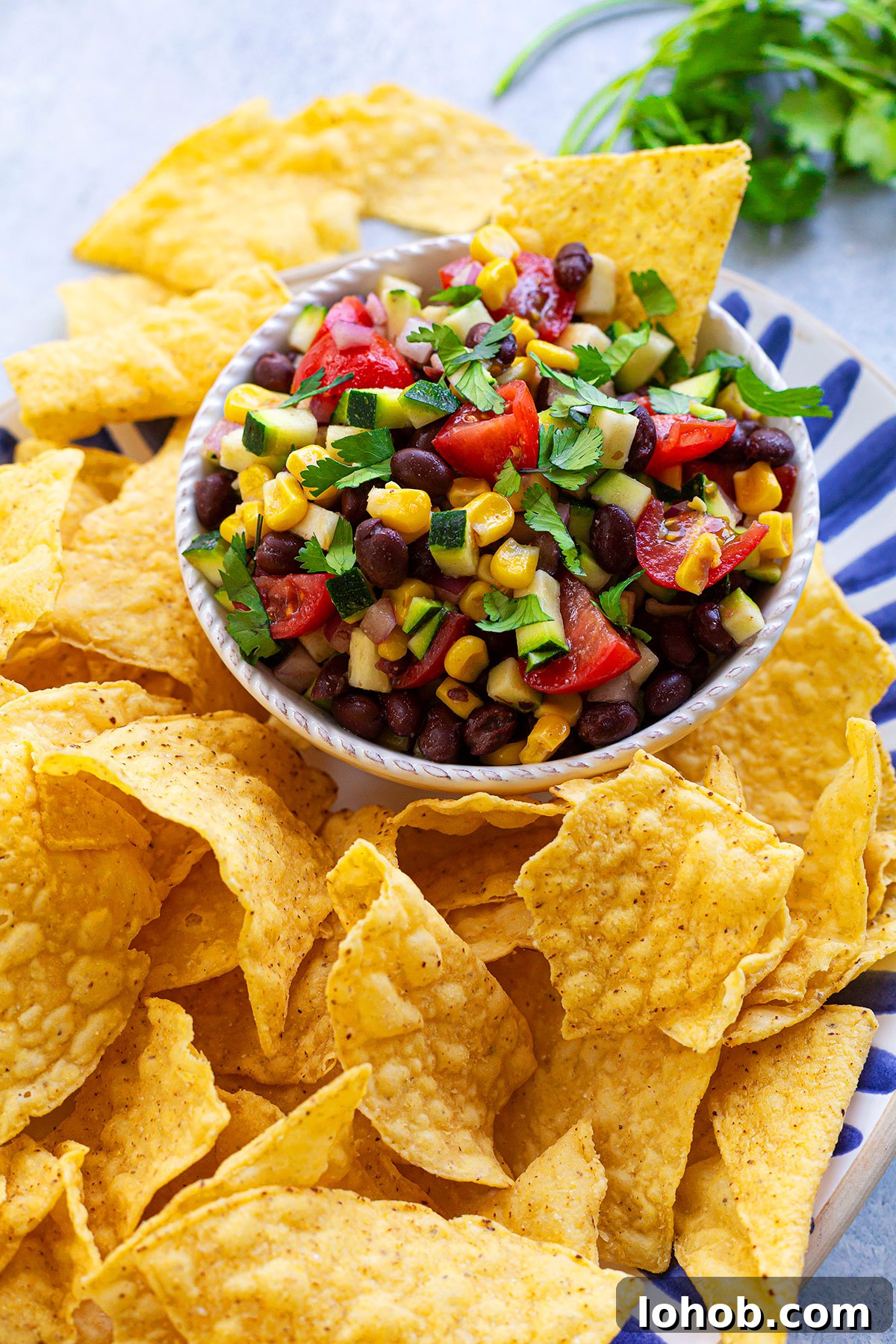 Fresh Zucchini Salsa Recipe: Bright, Chunky Summer Salsa 2 Zucchini Salsa with Chips