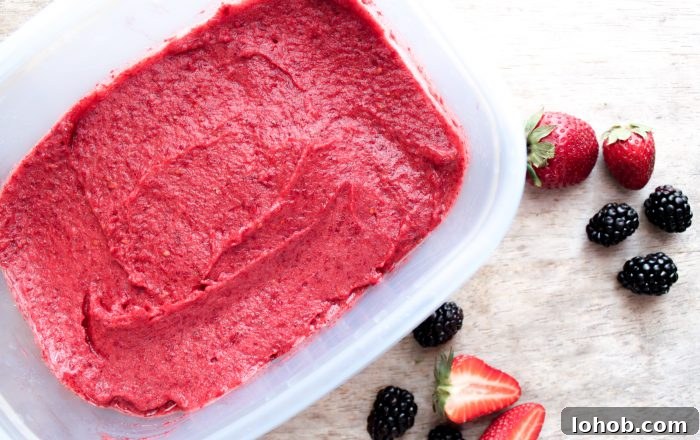 Strawberry Blackberry Sorbet Recipe — Fresh Summer Fruit Sorbet 3 Strawberry Blackberry Sorbet