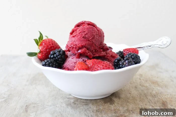 Strawberry Blackberry Sorbet Recipe — Fresh Summer Fruit Sorbet 4 strawberry blackberry sorbet