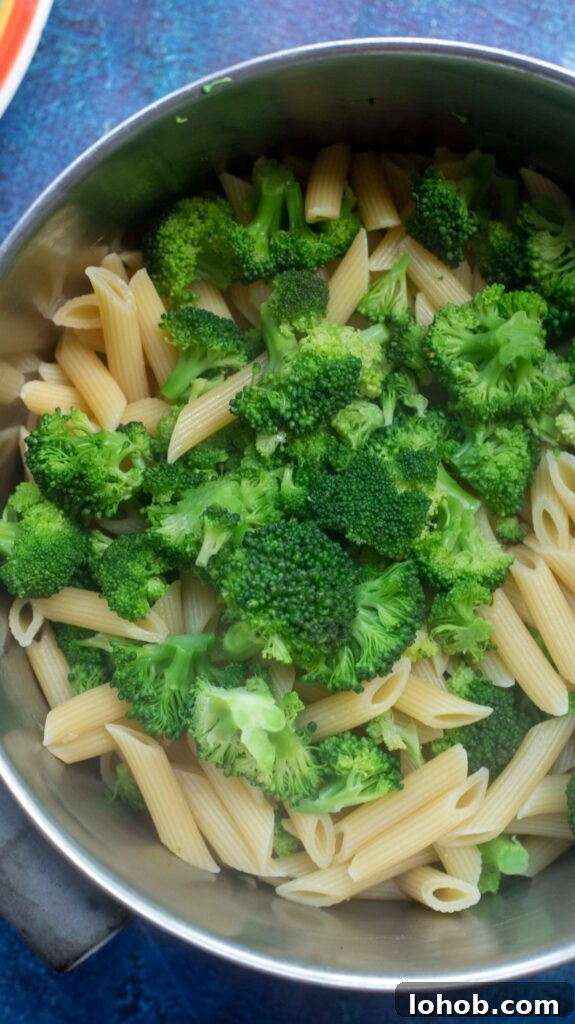 cooked penne pasta and broccoli in a pan