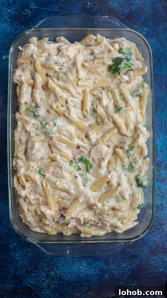 chicken alfredo casserole ingredients mixed together in a pan