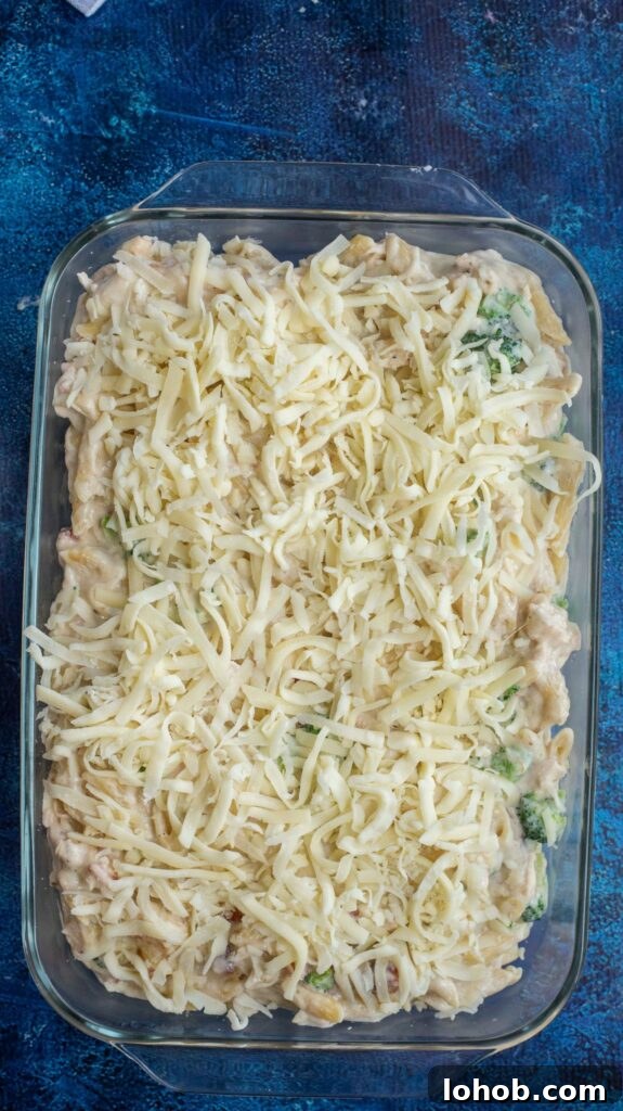 alfredo casserole covered in melted mozzarella cheese