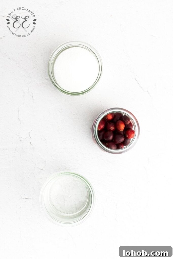Cranberry Simple Syrup Ingredients Cranberry Simple Syrup Ingredients