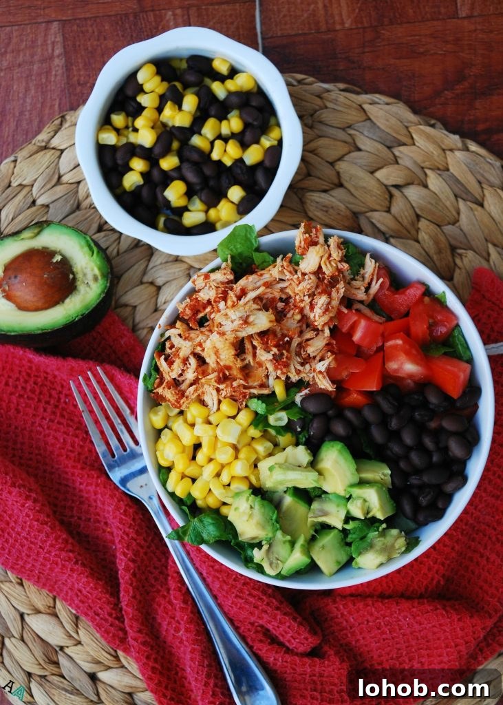 Slow Cooker Salsa Chicken Salad — Gluten-Free, Dairy-Free, Top-8-Free 2 Slow Cooker Salsa Chicken Salads (GF, DF, Egg, Soy, Peanut, Tree nut Free, Top 8 Free) by Allergy Awesomeness