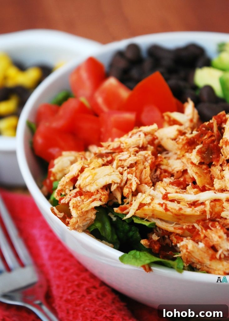 Slow Cooker Salsa Chicken Salad — Gluten-Free, Dairy-Free, Top-8-Free 6 Slow Cooker Salsa Chicken Salads (GF, DF, Egg, Soy, Peanut, Tree nut Free, Top 8 Free) by Allergy Awesomeness