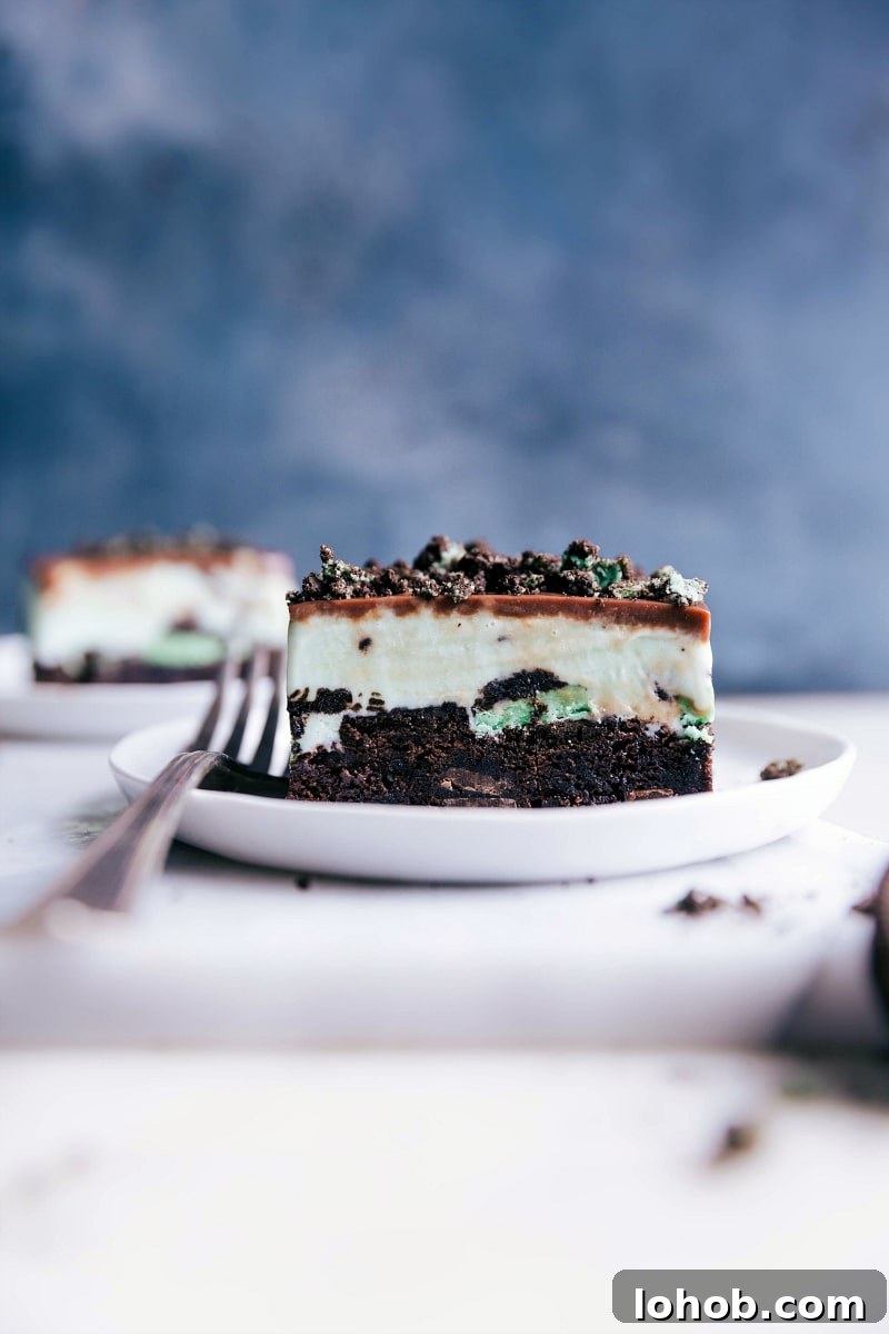 Homemade Mint Ice Cream Bars Recipe — Cool, Creamy Treat 2 Plate featuring mouth watering mint ice cream bars, ready for indulgence.