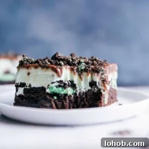 Homemade Mint Ice Cream Bars Recipe — Cool, Creamy Treat 3 Mint chocolate chip ice cream bar with a revealing bite, showcasing its delicious layered composition.