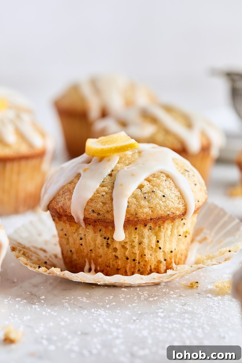 Lemon Poppy Seed Muffins Recipe — Moist, Zesty Morning Treat 12 Lemon Poppy Seed Muffins
