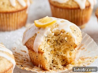 Lemon Poppy Seed Muffins