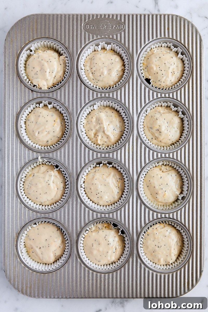 Lemon Poppy Seed Muffins Recipe — Moist, Zesty Morning Treat 10 Poppy seed muffin batter scooped into muffin tin