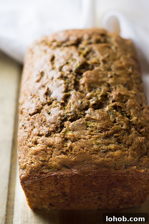 Quick Zucchini Bread Recipe (30-Minute Moist Loaf) 3 This moist easy zucchini bread will become your go to recipe! It's easy to make, loaded with freshly grated zucchini and warm fall spices.