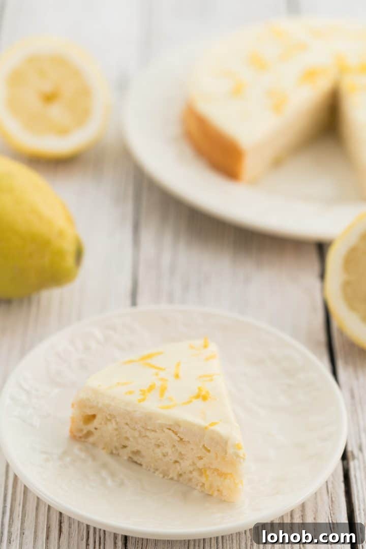 Low Sugar Lemon Cake