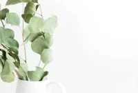 Start a Profitable Blog in 2024: Step-by-Step Guide