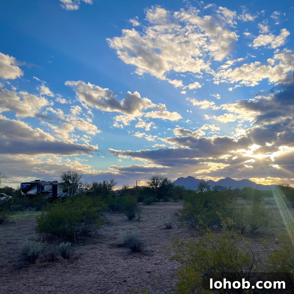 Let's Get Lost: March 2022 Travel Highlights 2 Our 5th Wheel RV parked in Ironwood Forest National Monument.