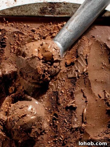 Dark chocolate ice cream in a baking tray with an ice cream scoop.