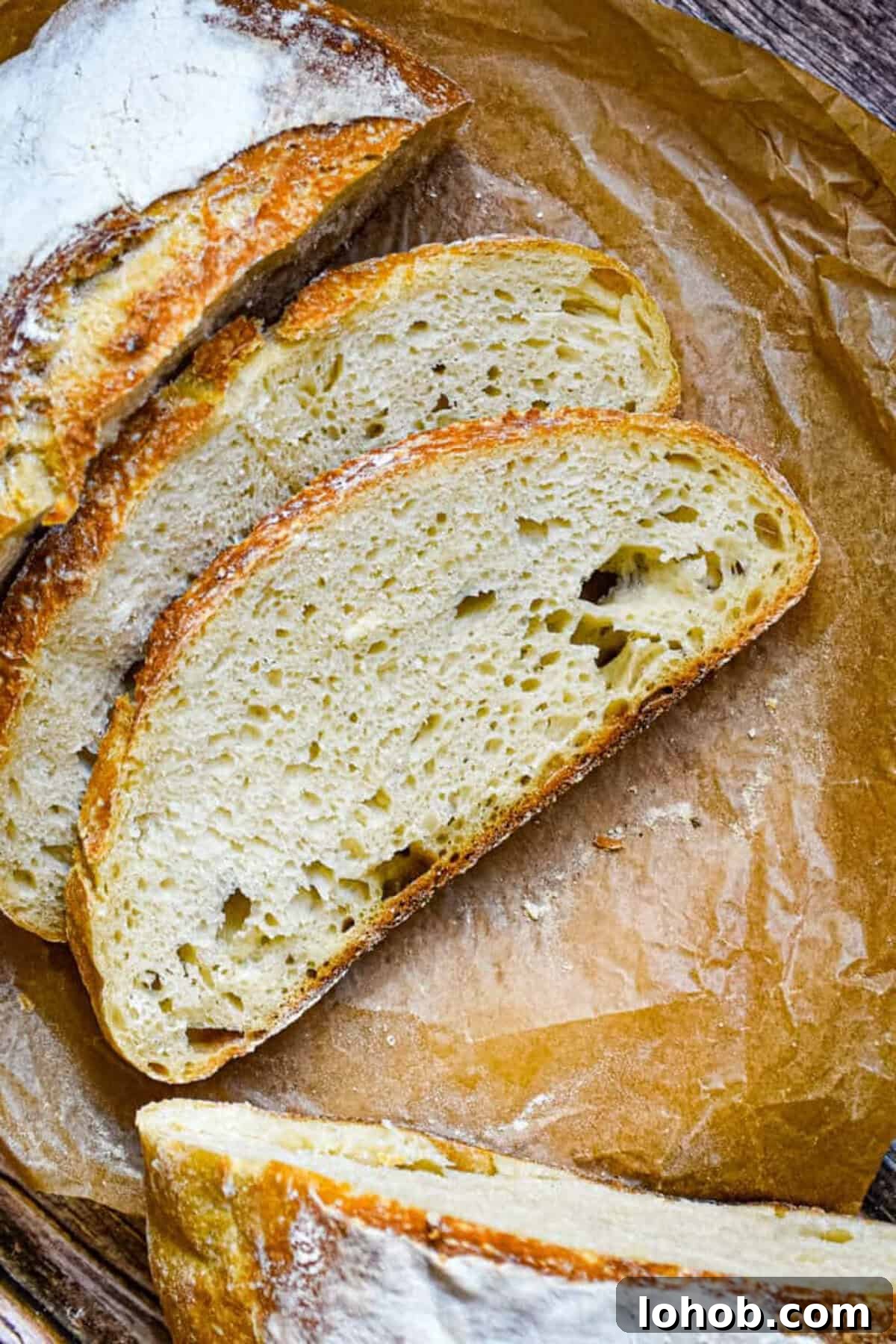 Sourdough Hydration: Mastering Dough Water Ratios 2 Slices of sourdough show the sourdough hydration in the loaf of bread.