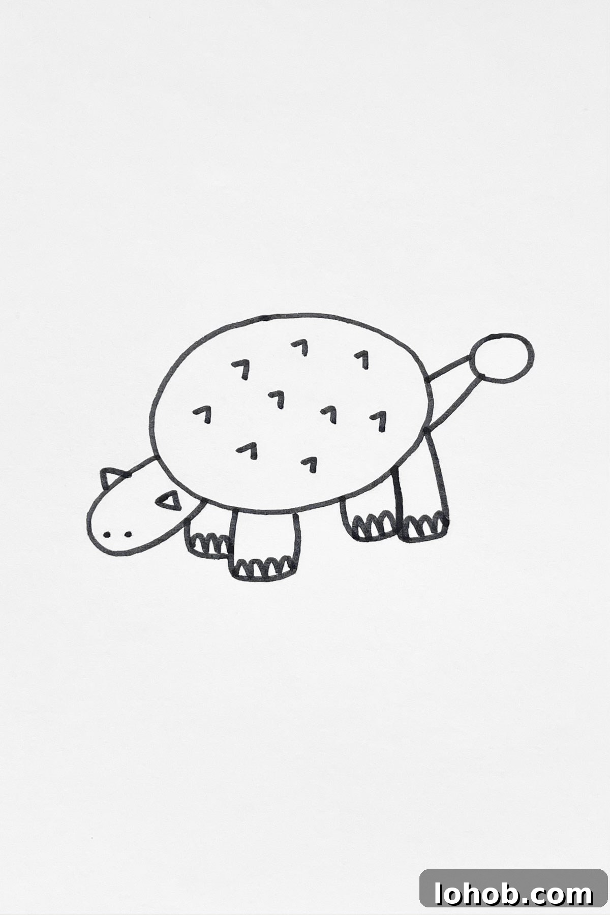 31 Adorable Dinosaur Drawing Ideas for Cute Sketches 18 Shelled Dinosaur drawing
