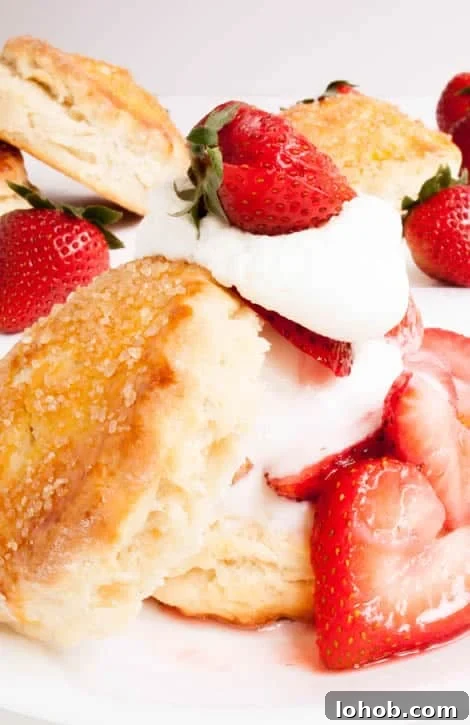 Classic Strawberry Shortcake with Fresh Whipped Cream 8 Strawberry Shortcake presented on plate topped with whipped cream and strawberries