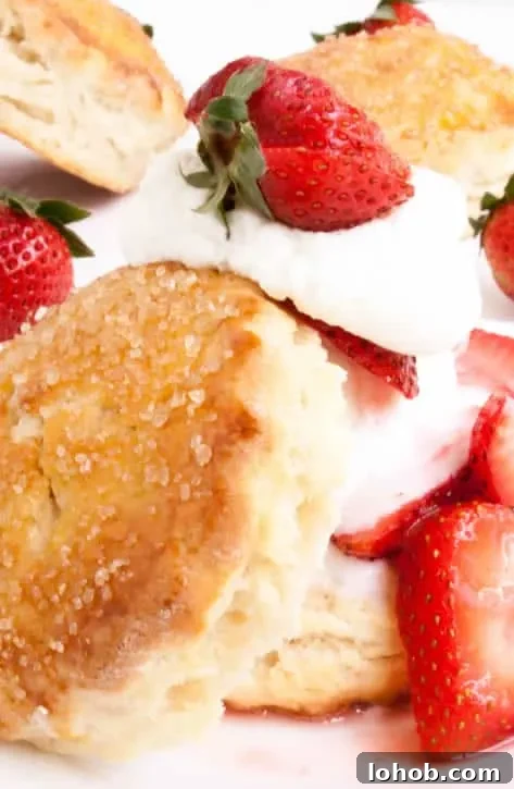 Classic Strawberry Shortcake with Fresh Whipped Cream 3 A close up image of Strawberry Shortcake topped with whipped cream and strawberries