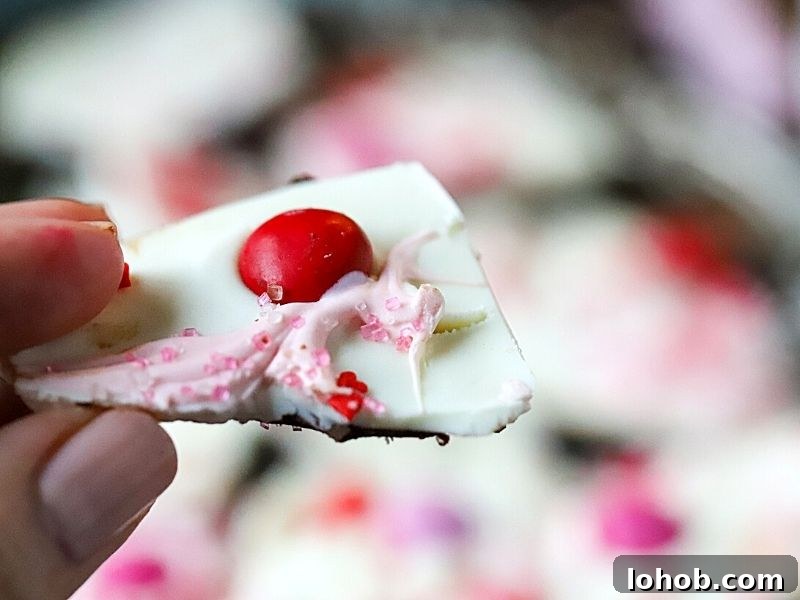 Valentine's Day Chocolate Bark Recipe 7 piece of chocolate bark
