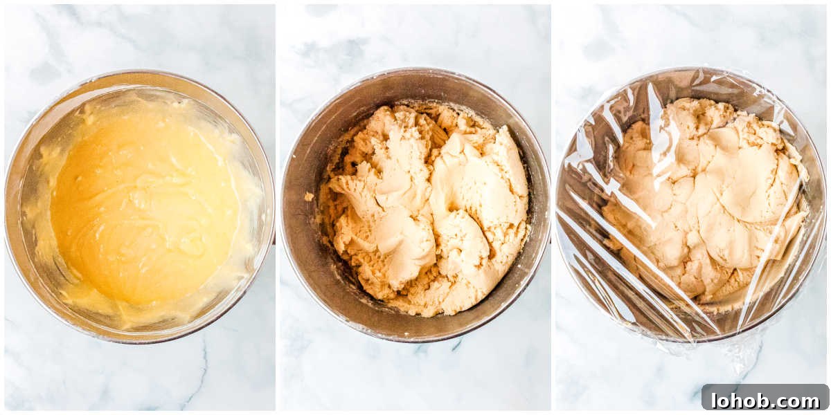 The cookie dough mixed together and covered nd chilled.