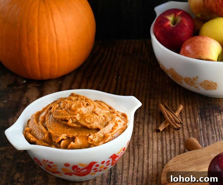 Pumpkin pie dip photo