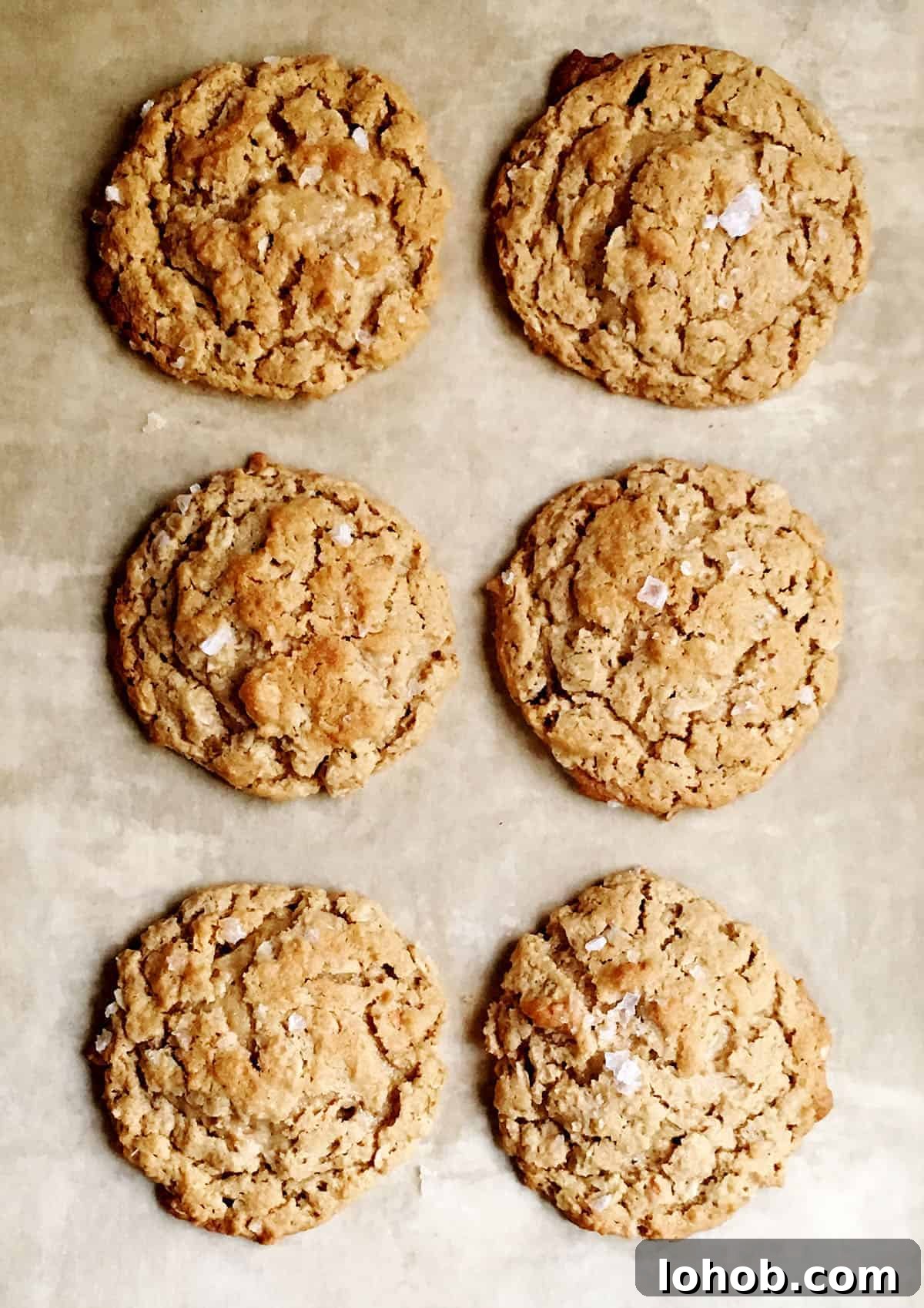 Chewy Peanut Butter Oatmeal Cookies Recipe 5 Peanut Butter Oatmeal Cookies on parchment paper